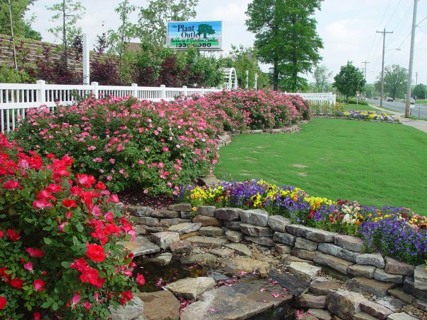 plant outlet conway