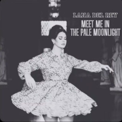 meet me in the moonlight